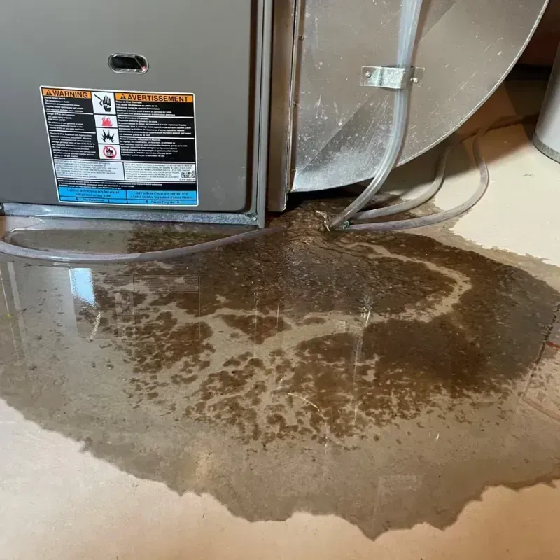 Appliance Leak Cleanup in Hampstead, NH